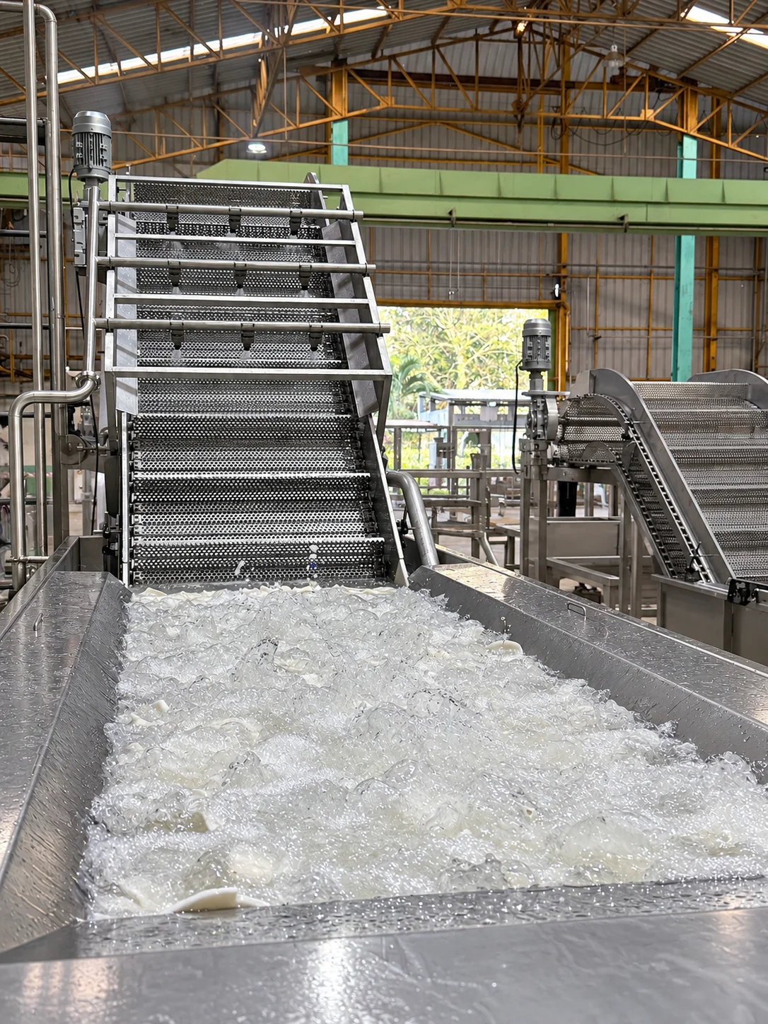 Water in a stainless-steel bath in front of an inclined elevating conveyor.