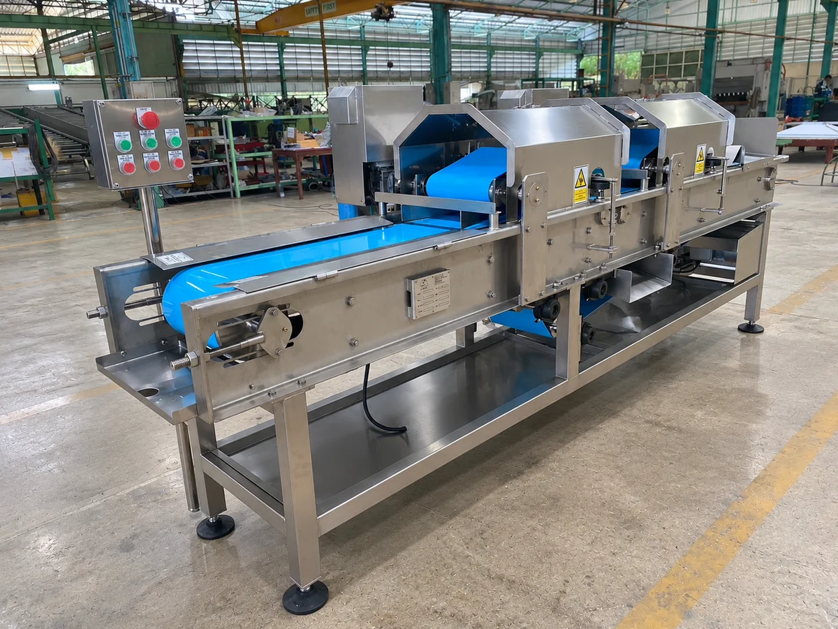 Aloe peeling machine with a blue feed belt and enclosed processing stations.