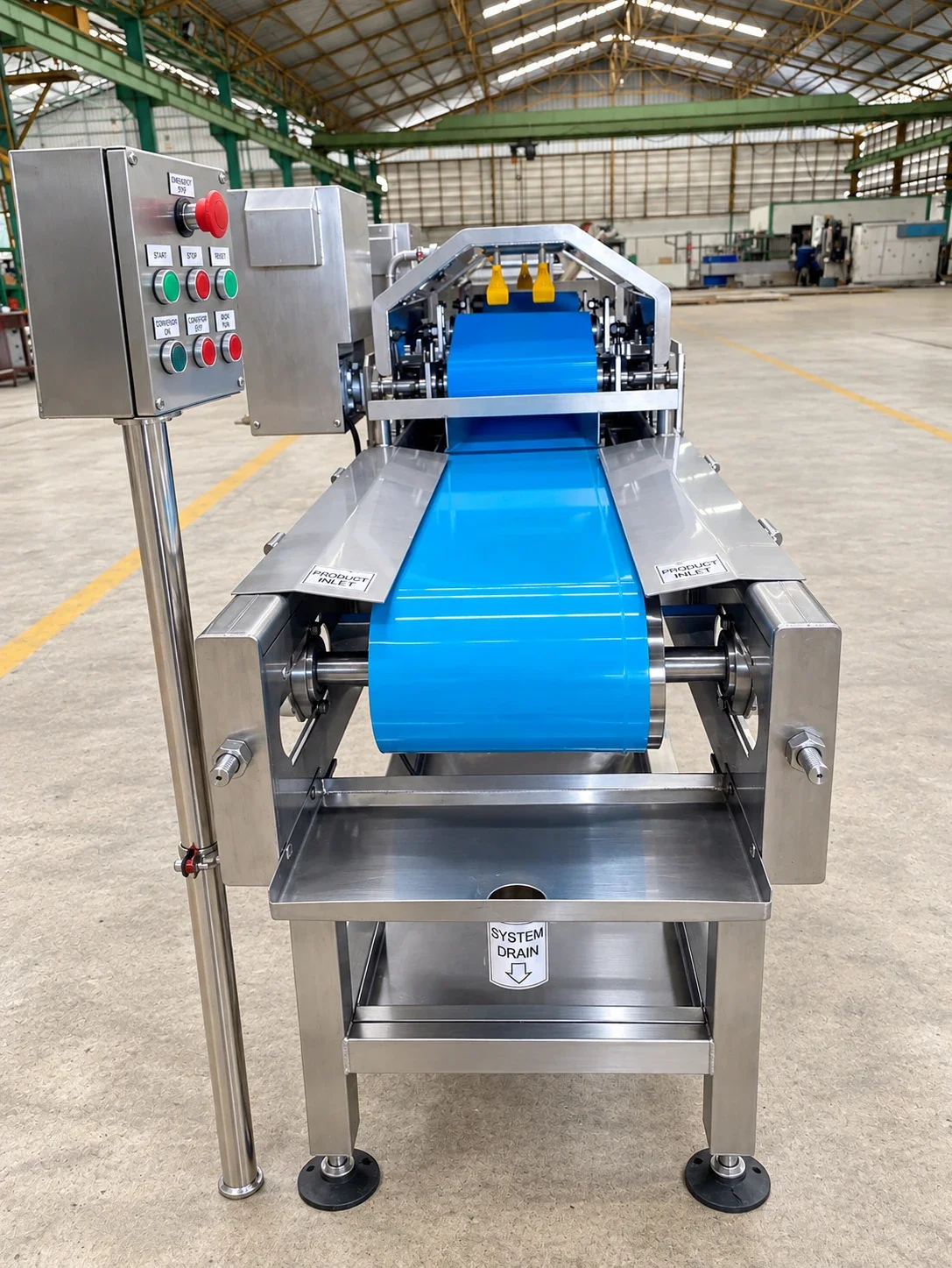 Aloe peeling equipment with a blue conveyor belt and side-mounted controls.