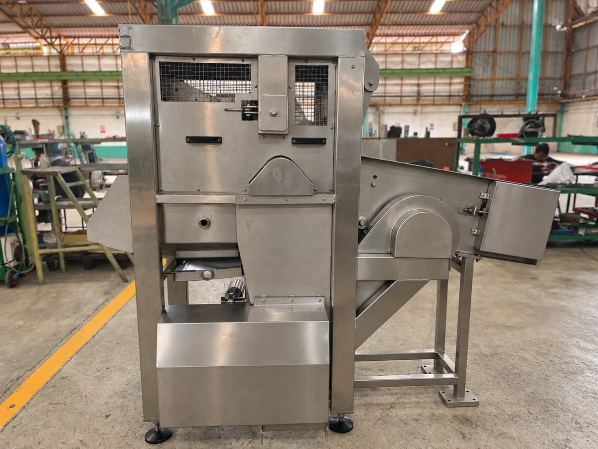 Coconut Half Cutting: Front enclosure and entry conveyor.