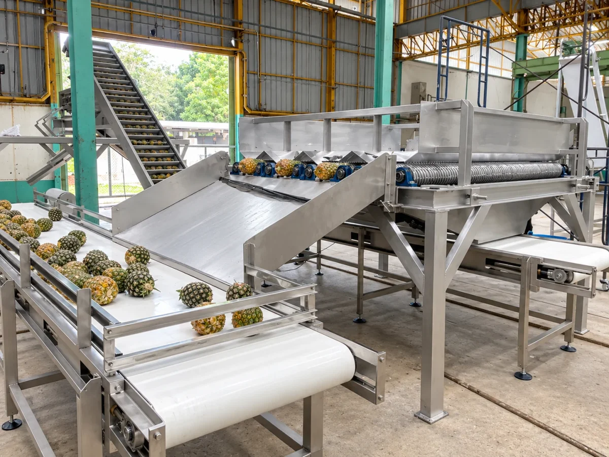 Fruit Size Grading — equipment overview.