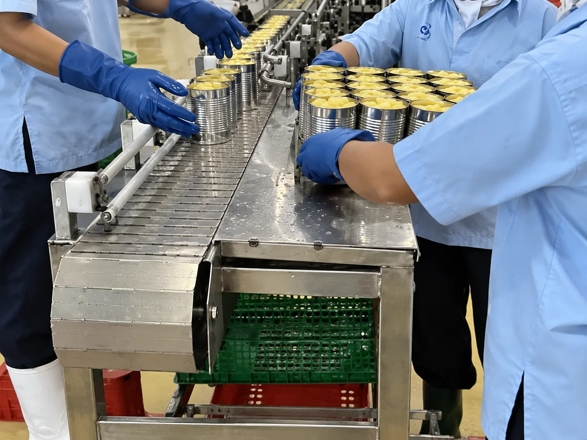 Syrup Filling: Can feed to the syrup filling line.