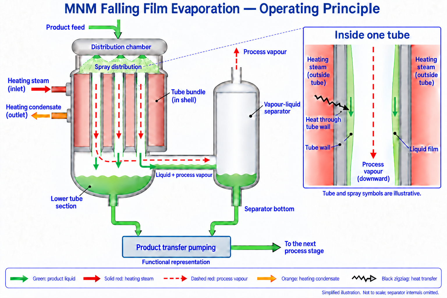 Cutaway of a falling-film tube bundle with symbolic spray above open tube entrances, green liquid films inside the tubes and red heating steam outside. An inset shows heat crossing the tube wall into the film. A shared lower connection carries liquid and process vapour to a side separator above its liquid level. Two green bottom take-offs feed a functional product transfer pumping box, which sends product onward. Heating condensate leaves through a separate orange outlet; process vapour leaves the separator at the top.