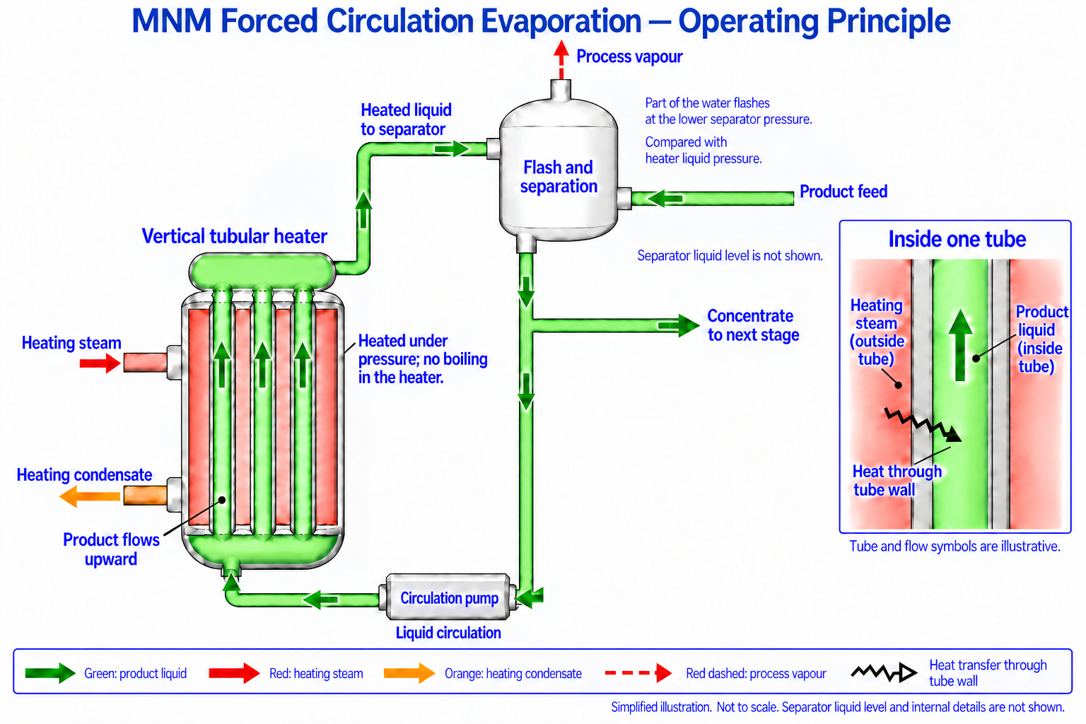 Forced-circulation diagram with a separator above the heater. Fresh green product feed enters the lower right side wall of the separator. One green liquid pipe leaves its bottom and descends to a tee: the right branch sends concentrate to the next stage, while the downward branch feeds the circulation pump. Pump discharge flows left to the heater bottom; product rises through the tube passages and returns upward to the separator. Separate red heating-steam and orange condensate connections serve the shell outside the product tubes. A one-tube inset shows heat crossing the grey wall into upward-flowing green liquid. Dashed-red process vapour exits the separator top. No separator liquid level or internals are shown.