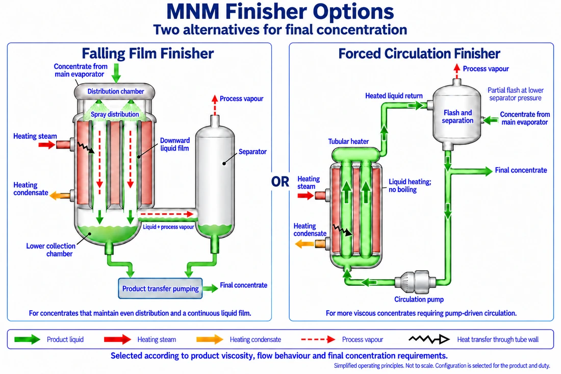 Two independent MNM finisher options receive concentrate from the main evaporator and output final concentrate. Left: spray feeds falling liquid films inside heated tubes; a shared liquid-and-vapour connection leads to a side separator, and two bottom liquid take-offs feed product transfer pumping. Right: an elevated separator feeds a common bottom pipe that branches to final concentrate and a circulation pump; liquid flows upward through a tubular heater and returns to the separator for partial flash. Green is product liquid, solid red heating steam, orange heating condensate, dashed red process vapour, and black zigzags heat transfer through the tube wall.